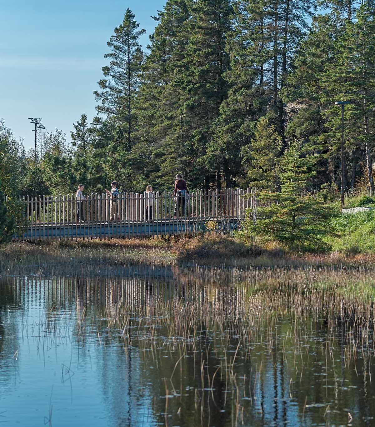 Gangbru i tre over vann. (foto: Ingrid Holm Andersen)