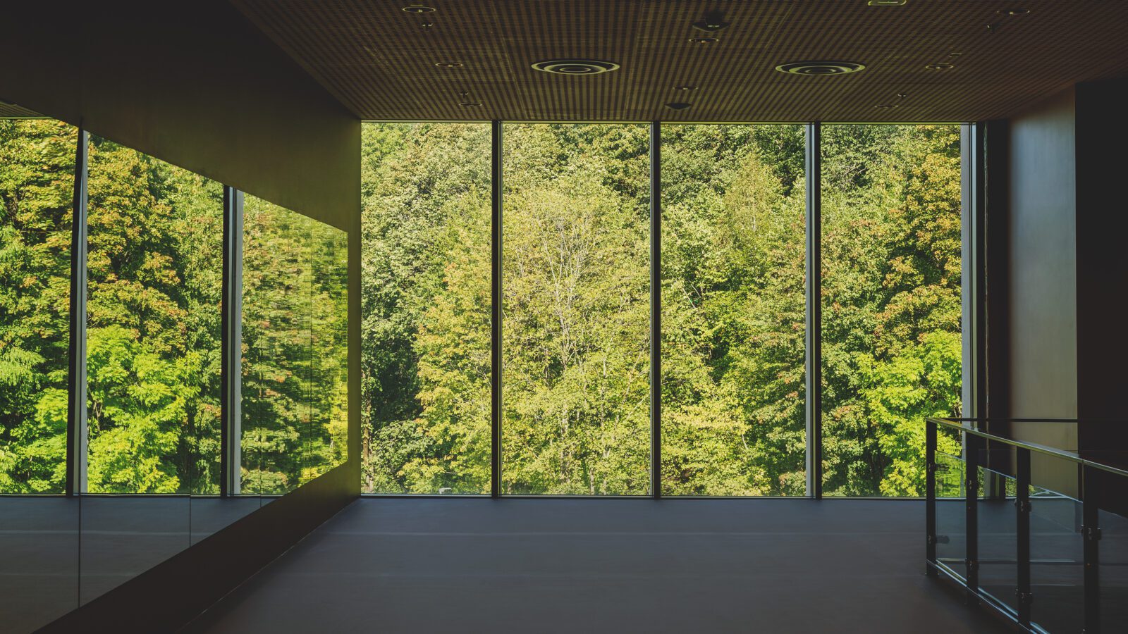parken utenfor Tøyenbadet, syklister