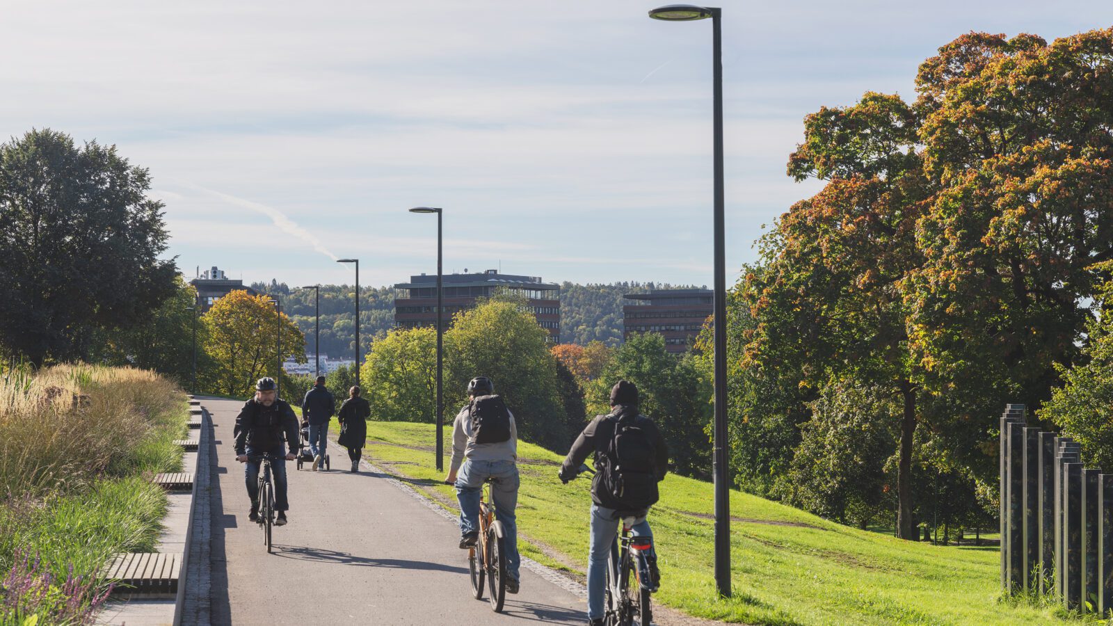 Sykkelvei i Tøyenparken